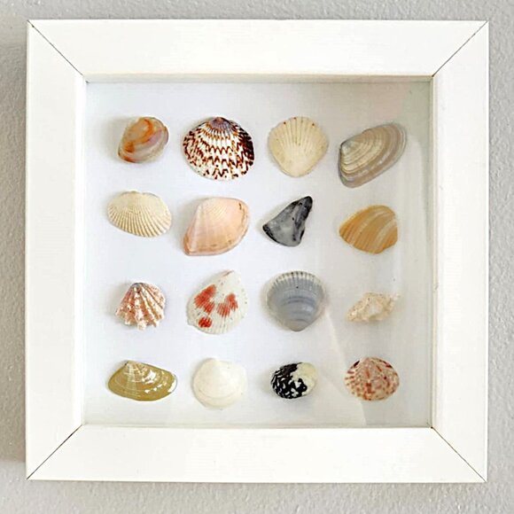 Framed seashell art - Picture 2 of 8